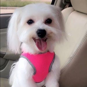 Meet your Posher, Janet